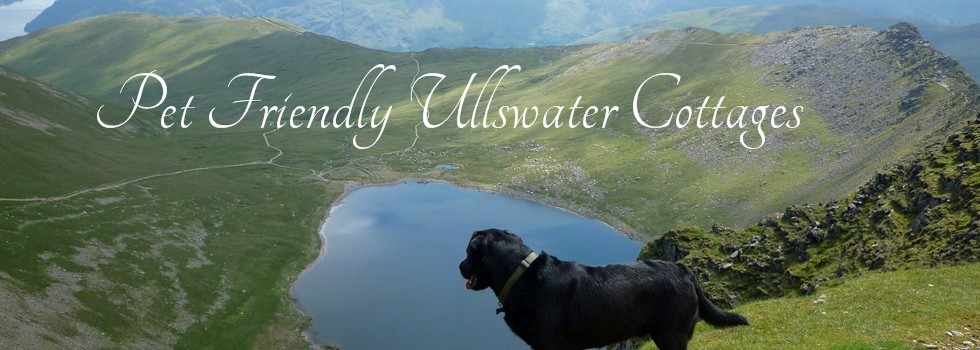 Pet Friendly Ullswater Cottages